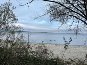 IMG_0644